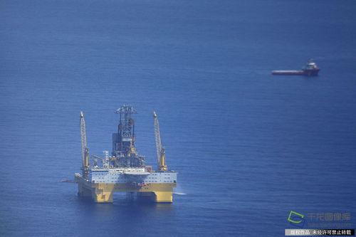 青青草原在线观看视频vip,解锁草原冒险之旅