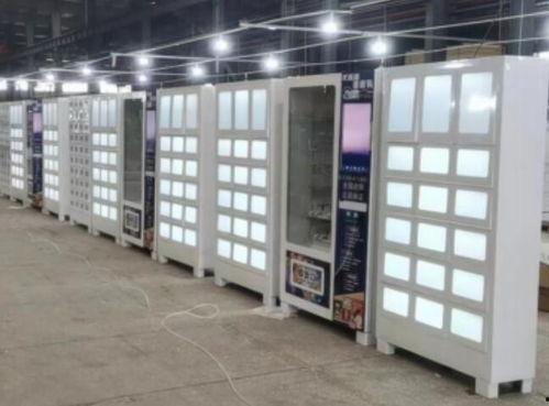 成人用品展示视频笼子,视频笼子里的私密视角揭秘